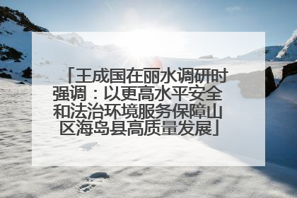 王成国在丽水调研时强调：以更高水平安全和法治环境服务保障山区海岛县高质量发展