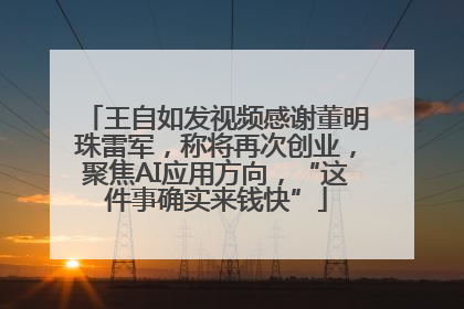 王自如发视频感谢董明珠雷军，称将再次创业，聚焦AI应用方向，“这件事确实来钱快”