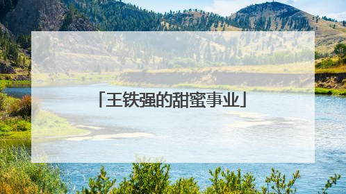 王铁强的甜蜜事业