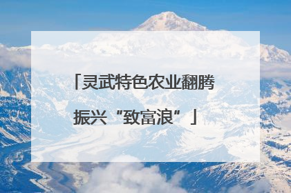 灵武特色农业翻腾振兴“致富浪”