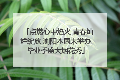 点燃心中焰火 青春灿烂绽放 浏阳本周末举办毕业季盛大烟花秀
