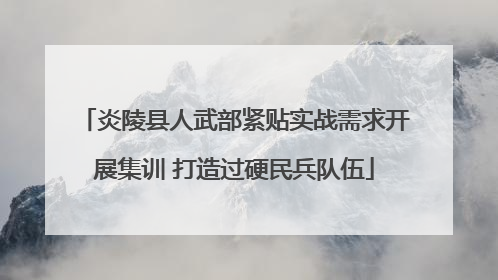 炎陵县人武部紧贴实战需求开展集训 打造过硬民兵队伍