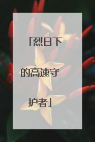 烈日下的高速守护者