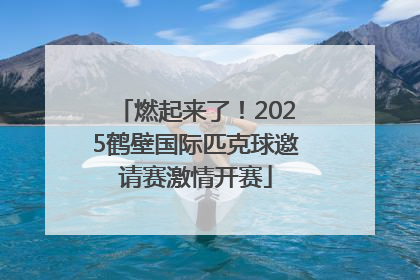 燃起来了！2025鹤壁国际匹克球邀请赛激情开赛