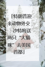 特朗普迎来动物外交：沙特将送两只“大猫咪”去美国首都