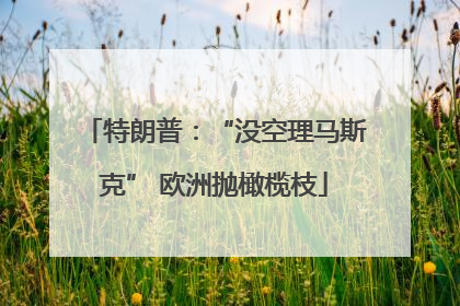 特朗普：“没空理马斯克” 欧洲抛橄榄枝
