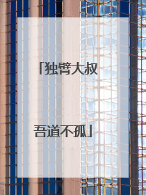 独臂大叔 吾道不孤