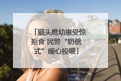 猫头鹰幼崽受惊拒食 民警“奶爸式”暖心投喂
