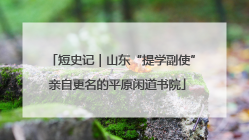 短史记｜山东“提学副使”亲自更名的平原闲道书院