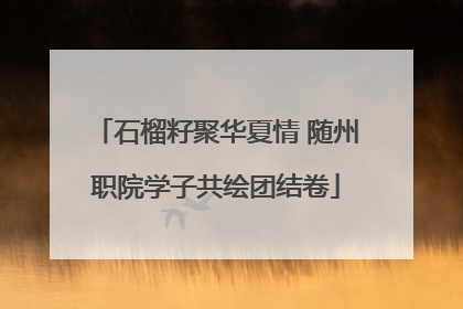 石榴籽聚华夏情 随州职院学子共绘团结卷