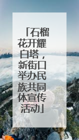 石榴花开耀白塔，新街口举办民族共同体宣传活动