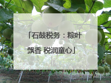 石鼓税务：粽叶飘香 税润童心