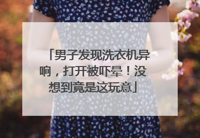 男子发现洗衣机异响，打开被吓晕！没想到竟是这玩意