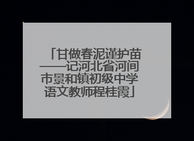 甘做春泥谨护苗——记河北省河间市景和镇初级中学语文教师程桂霞