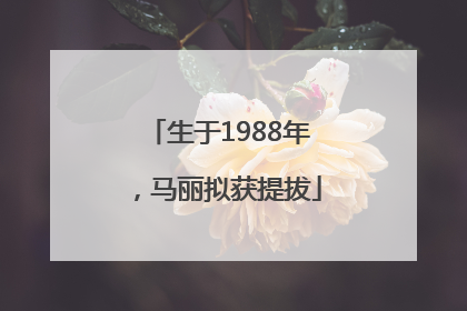 生于1988年，马丽拟获提拔