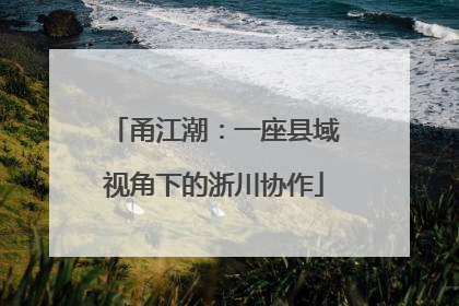 甬江潮：一座县域视角下的浙川协作