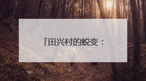 田兴村的蜕变：栀子花田的杨梅熟啦 采摘节让乡村热闹起来