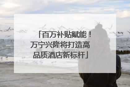 百万补贴赋能！万宁兴隆将打造高品质酒店新标杆