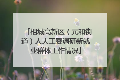 相城高新区（元和街道）人大工委调研新就业群体工作情况