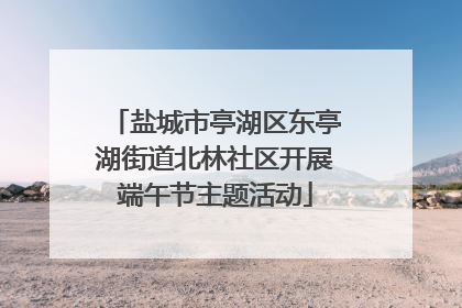 盐城市亭湖区东亭湖街道北林社区开展端午节主题活动