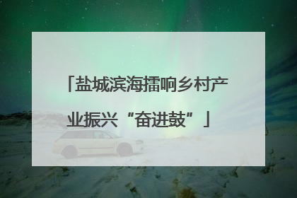 盐城滨海擂响乡村产业振兴“奋进鼓”