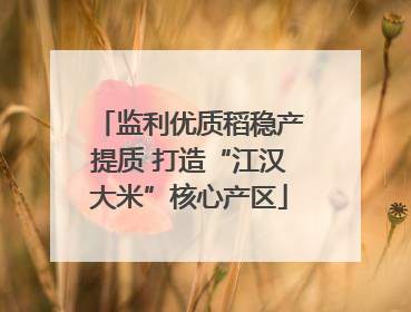 监利优质稻稳产提质 打造“江汉大米”核心产区