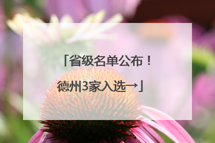 省级名单公布！德州3家入选→