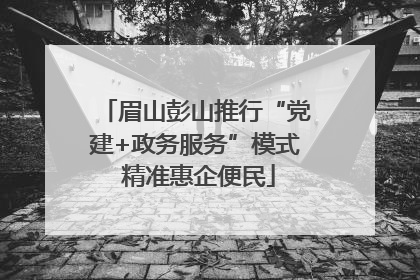 眉山彭山推行“党建+政务服务”模式 精准惠企便民