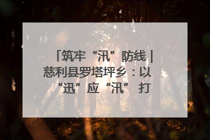 筑牢“汛”防线｜慈利县罗塔坪乡：以“迅”应“汛” 打赢暴雨防御战