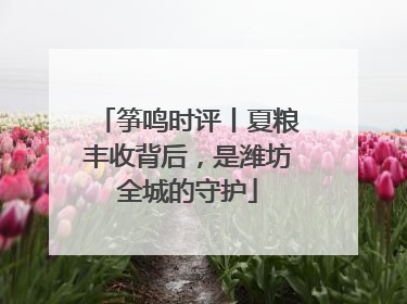 筝鸣时评丨夏粮丰收背后，是潍坊全城的守护