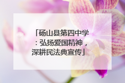 砀山县第四中学：弘扬爱国精神，深耕民法典宣传