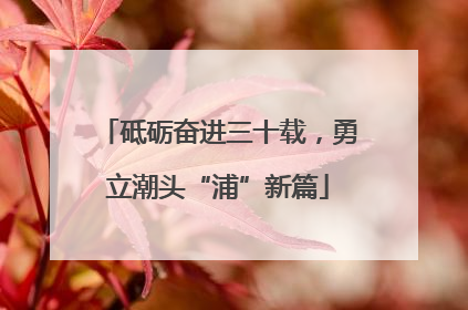 砥砺奋进三十载，勇立潮头“浦”新篇