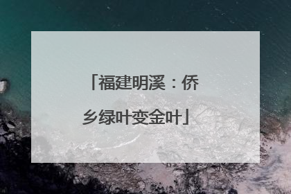福建明溪：侨乡绿叶变金叶
