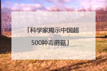 科学家揭示中国超500种毒蘑菇