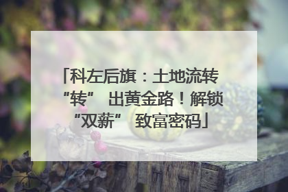 科左后旗：土地流转 “转” 出黄金路！解锁 “双薪” 致富密码