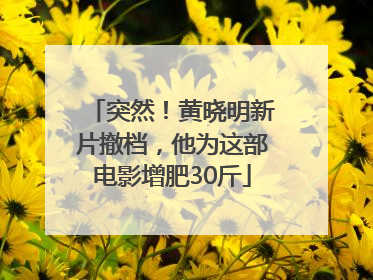 突然！黄晓明新片撤档，他为这部电影增肥30斤