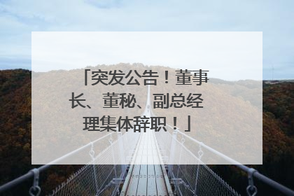 突发公告！董事长、董秘、副总经理集体辞职！