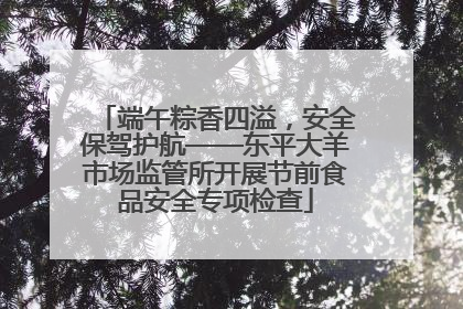 端午粽香四溢，安全保驾护航——东平大羊市场监管所开展节前食品安全专项检查