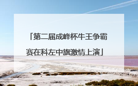 第二届成峰杯牛王争霸赛在科左中旗激情上演