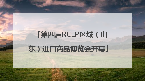 第四届RCEP区域（山东）进口商品博览会开幕