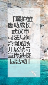 翼护雏鹰助成长 武汉市司法局何湾强戒所开展禁毒宣传进校园活动
