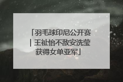 羽毛球印尼公开赛｜王祉怡不敌安洗莹 获得女单亚军