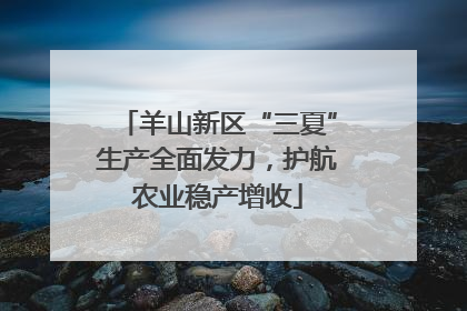 羊山新区“三夏”生产全面发力，护航农业稳产增收