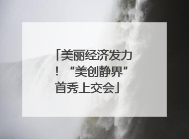 美丽经济发力！“美创静界”首秀上交会