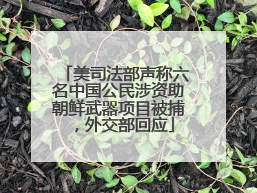 美司法部声称六名中国公民涉资助朝鲜武器项目被捕，外交部回应