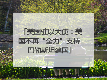 美国驻以大使：美国不再“全力”支持巴勒斯坦建国
