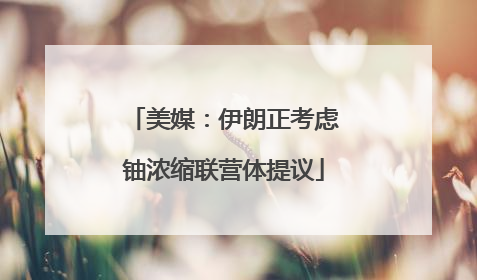 美媒：伊朗正考虑铀浓缩联营体提议