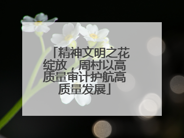 精神文明之花绽放，周村以高质量审计护航高质量发展