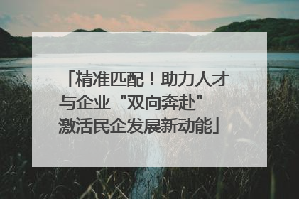 精准匹配！助力人才与企业“双向奔赴” 激活民企发展新动能