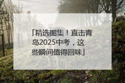 精选图集！直击青岛2025中考，这些瞬间值得回味